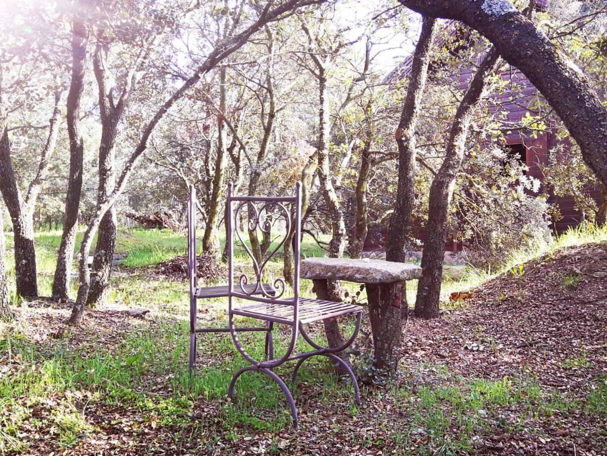 El Rincon De Tus Suenos Villa El Espinar Dış mekan fotoğraf